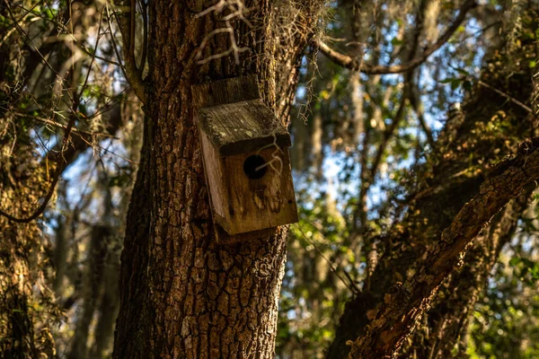 Uma Velha Casa Pássaros Parque Lembra Tempos Mais Simples — Fotografia de Stock