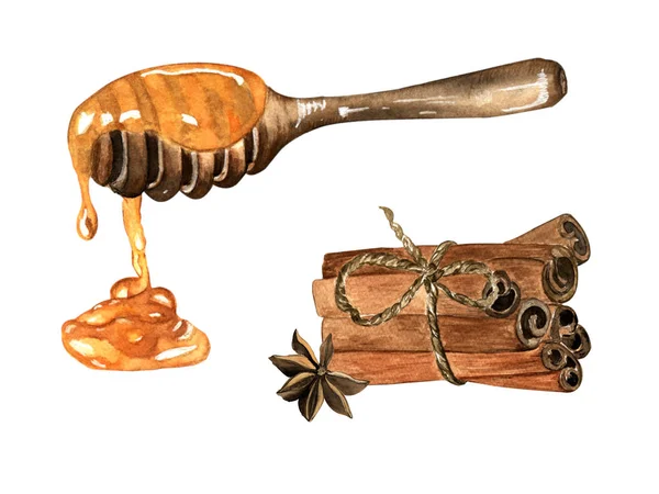Suluboya çizimi. El çizimi. Hazır. Anason, tarçın, çubuktaki bal. Beyaz arkaplandaki izole nesneler.