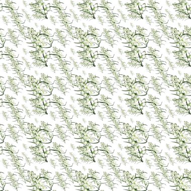 Suluboya çizimi. El boyası. Beyaz arka planda çiçekli pürüzsüz pelin ağacı dalları..