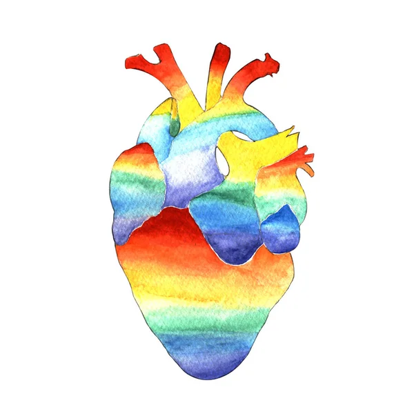 Watercolor Illustration Hand Painted One Anatomical Human Heart Painted Colors — 스톡 사진