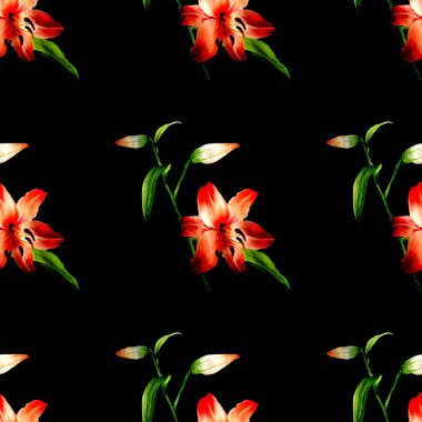 Suluboya çizimi. El boyası. Siyah bir zemin üzerinde kırmızı zambak dallarının kusursuz deseni.