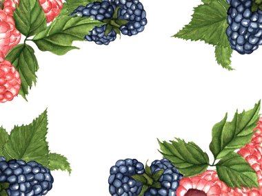 Suluboya çizimi. El boyası. Metni olan ahududu ve böğürtlen çerçevesi.