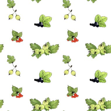 Suluboya çizimi. El boyası. Kusursuz kırmızı frenk üzümü, kara frenk üzümü, bektaşi üzümü deseni..