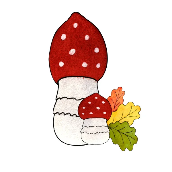 Акварельна Ілюстрація Рука Пофарбована Дві Мухи Агаринове Різнокольорове Дубове Листя — стокове фото