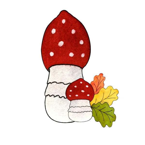 Ilustracja Akwareli Ręcznie Malowane Dwie Muchy Agaric Wielobarwne Liście Dębu — Zdjęcie stockowe