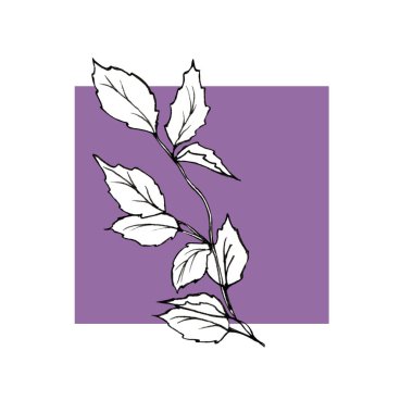 Siyah kalemle çizilmiş. El boyası. Leylak arkaplanda yaprakları olan bir dal.