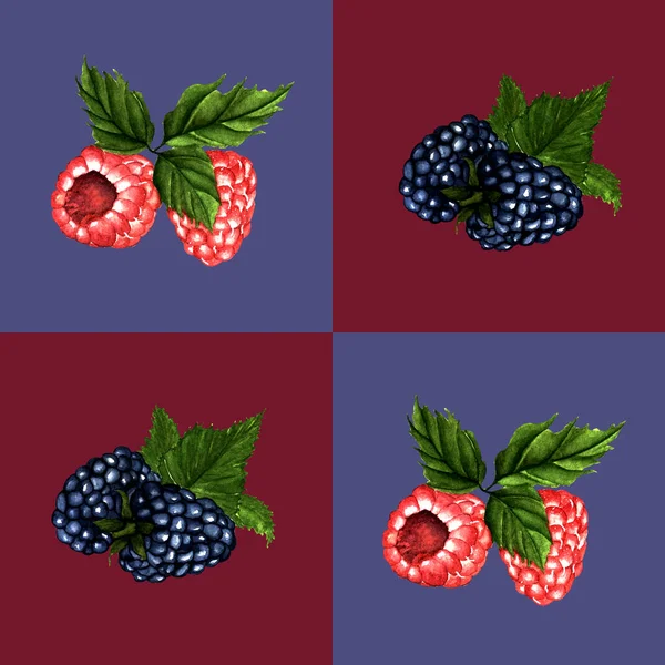 在勃艮第和蓝色正方形上手工绘制的黑莓和覆盆子水色浆果 — 图库照片