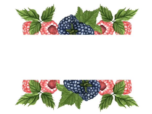 白色背景上手工绘制的草莓和覆盆子叶水彩画框架 — 图库照片