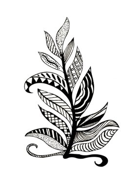 El çizimi ve kalem siyah-beyaz dal. Beyaz arkaplandaki zentangle tarzında çeşitli desenlerle dolu yapraklar..