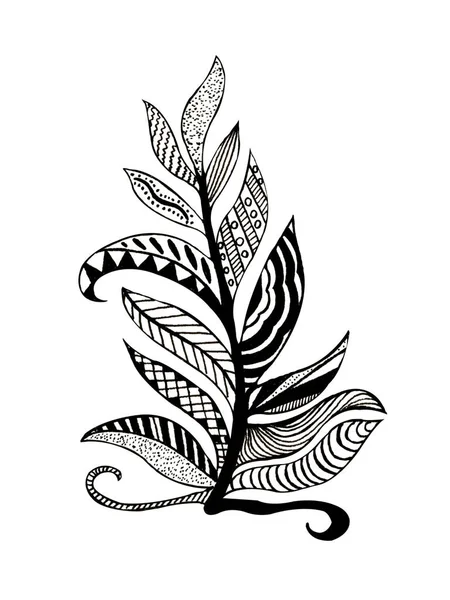 Desenho Mão Lápis Galho Preto Branco Com Folhas Preenchidas Com — Fotografia de Stock