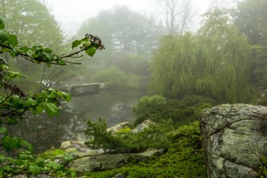 Cold Spring, NY / United States - May 6, 2017: Early morning landscape view of the pool in the Rock Ledge section of Stonecrop Gardens clipart