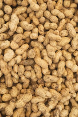 Fıstık kabuğu Market