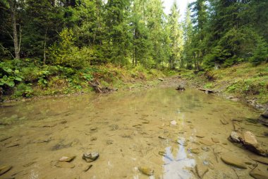 Dağ nehir su akışı.  