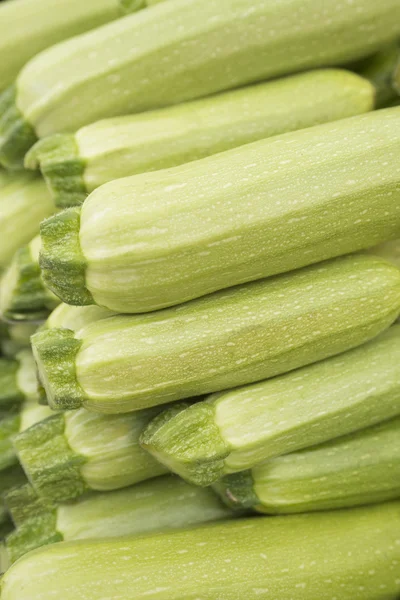 Färsk grön zucchini — Stockfoto