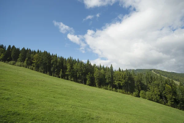 Manhã de outono nas montanhas. — Fotografia de Stock