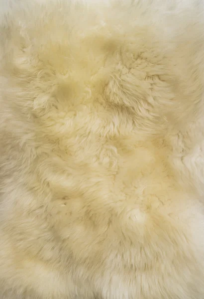 羊毛的背景。绵羊毛皮的细节 — 图库照片