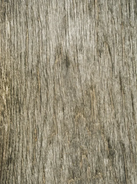 Latar belakang tekstur kayu. — Stok Foto