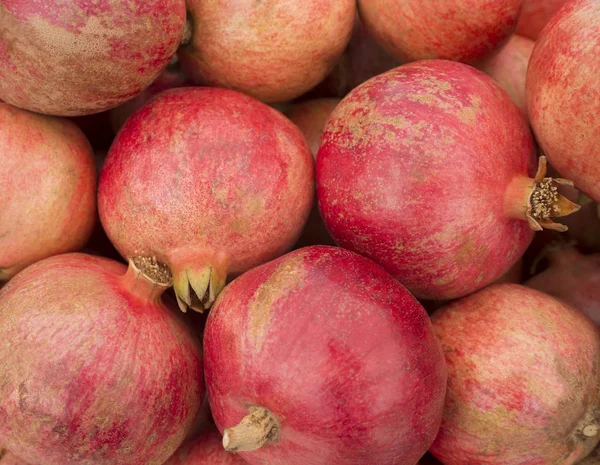 Rijpe granaatappels. Tijdstip van de oogst — Stockfoto