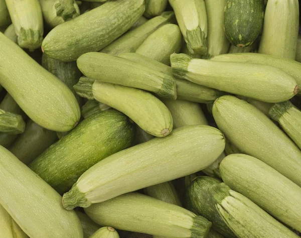 Frisch zugeschnittene grüne Zucchini; — Stockfoto