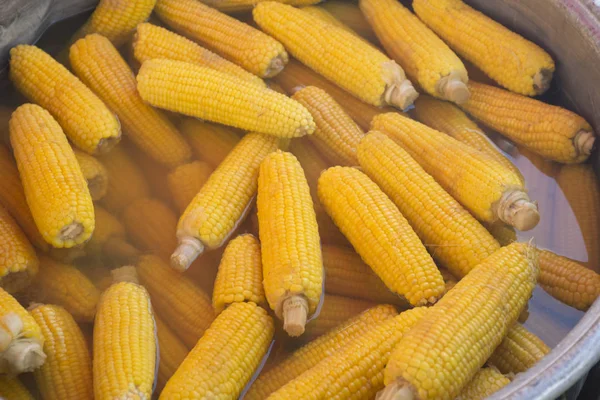煮熟的玉米芯 — 图库照片