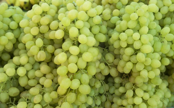 Deliciosas uvas verdes — Foto de Stock