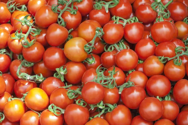 Delicious ripe tomatoes — Stock Photo, Image