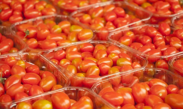 Ripe tomatoes at market — Stock Photo, Image
