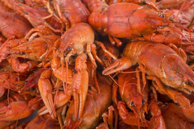 lezzetli pişmiş kırmızı kerevit