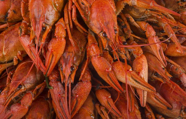 Delicious cooked red crawfish — Stock Photo, Image
