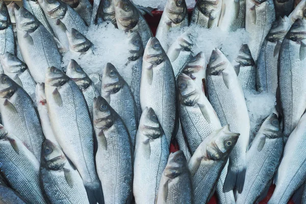 Verschiedene frische Fische und Meeresfrüchte auf dem Fischmarkt — Stockfoto