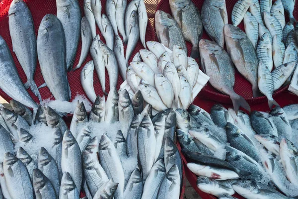 Különböző friss halakat és tenger gyümölcseit, a halpiac — Stock Fotó