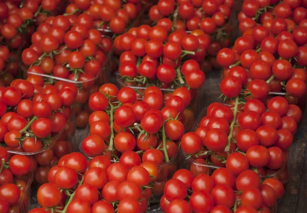 美味的红番茄。一堆西红柿。夏季托盘市场农业农场充分的有机西红柿。新鲜的西红柿。它可以用作背景。（选择性焦点) — 图库照片