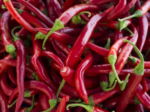 Högen av mogna stora röda paprikor på en gatumarknad. Ett stort antal röd paprika i en hög. En speciell mängd röda paprikor. Selektivt fokus — Stockfoto