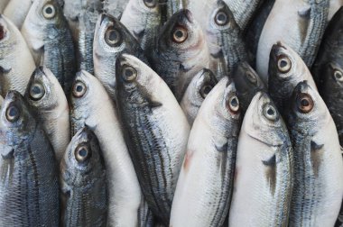 Çeşitli taze balık ve deniz ürünleri, Balık pazarı