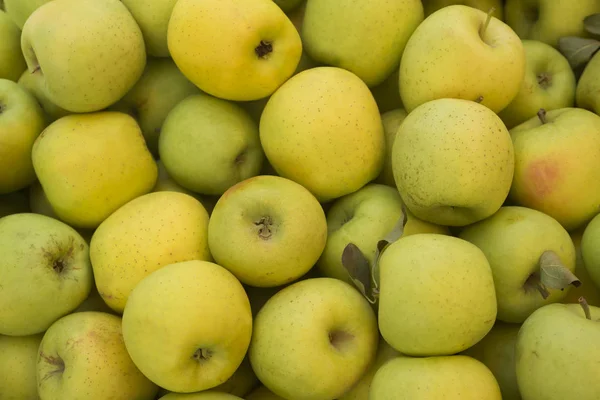 Tatlı taze olgun yeşil elma yığını kapat. Meyve arka plan. Sağlıklı beslenme. Sonbaharda hasat, kavram tarım tarım — Stok fotoğraf