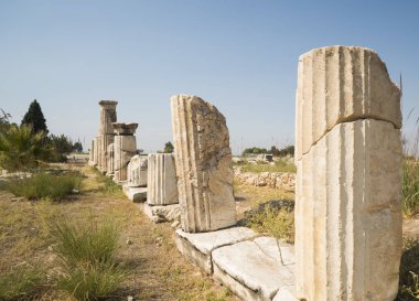 Hierapolis şehir kalıntıları. Hierapolis antik şehir kalıntıları Türkiye'deki Pamukkale Kaplıcalar bitişiğinde yer alır. Unesco Dünya Mirası sitedir.