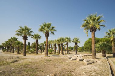 Pamukkale Hierapolis, Türkiye. Park antik kent toprakları üzerinde. UNESCO listesinde