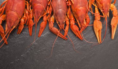 Haşlanmış kırmızı kerevides yemek hazır. Bira aperatif. Kerevit bira için. Kerevit taş kayrak koyu arka plan üzerinde kırmızı haşlanmış. Metniniz için kopya alanı ile sınır tasarlamak