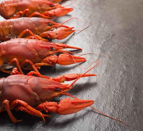 Gamberi rossi bolliti pronti da mangiare. Uno spuntino di birra. Gamberi alla birra. Gamberi bolliti rossi su pietra ardesia sfondo scuro. Design del bordo con spazio di copia per il testo — Foto Stock