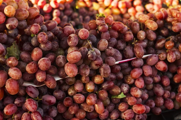 องุ่น ต้นองุ่นแดง องุ่นในตลาดการเกษตรถาด (โฟกัสทางไฟฟ้า ) — ภาพถ่ายสต็อก