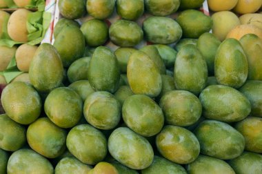 Ekranda açık çiftçi pazar taze renkli tropikal mango. Mango yakın çekim. Meyve arka plan. Sağlıklı beslenme. Sonbahar tarım hasat (seçici odak kavramı)