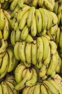 Tropikal meyve Pazar muz içinde belgili tanımlık çarşı (seçici odak üzerinde)