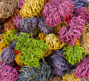 Rose of Jericho (Selaginella lepidophylla), bilinen diğer adları dahil Jericho gül, dinozor bitki, taş çiçek, diriliş bitki, Mary'nin çiçek.