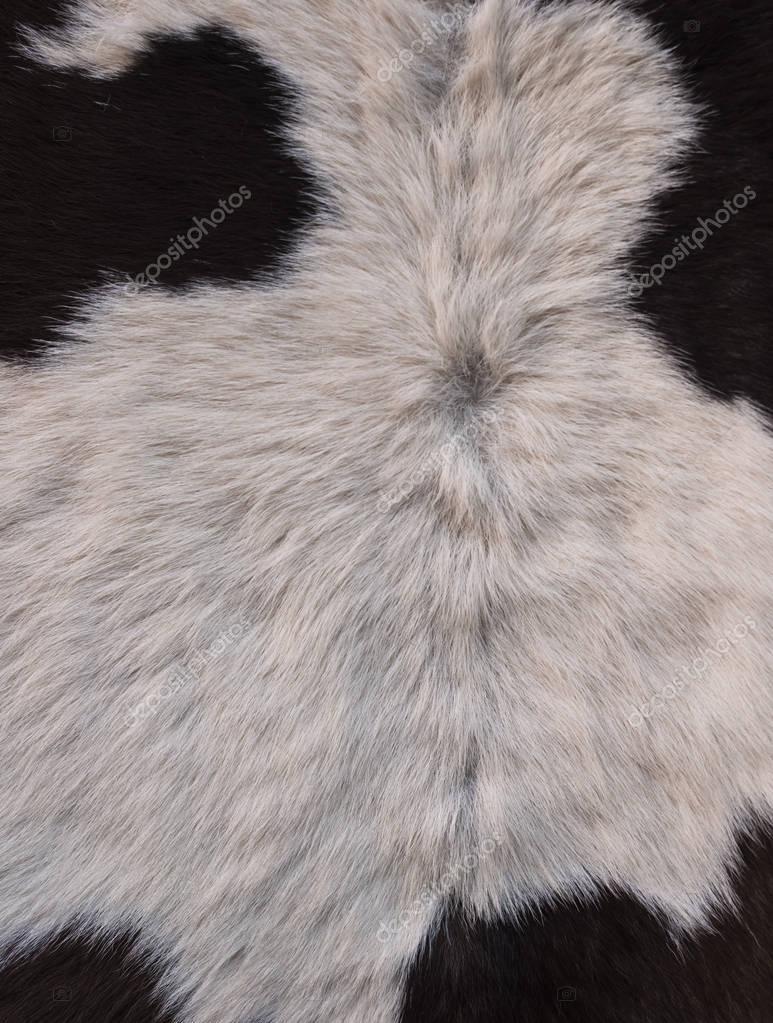 Detalle de la alfombra de piel de vaca. Primer plano de una artesanía argentina cosida con piel