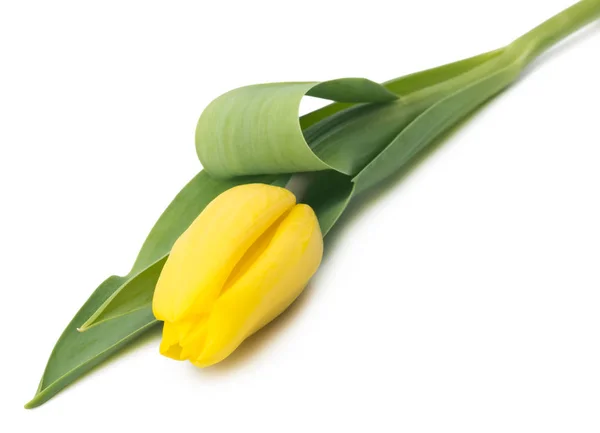 Bouquet Yellow Tulips Copy Space Spring Fresh Flowers Mockup Mothers — Stock Photo, Image