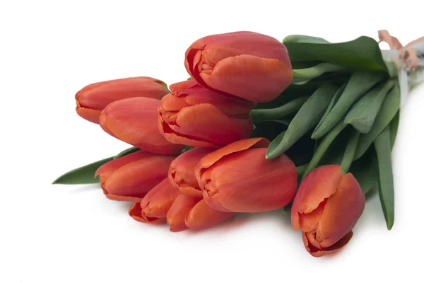 Ramo Tulipanes Rojos Espacio Para Copiar Primavera Flores Frescas Maqueta — Foto de Stock