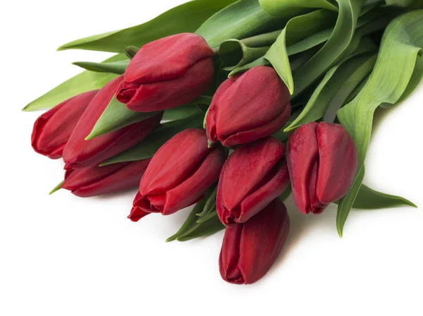 Buquê Tulipas Vermelhas Espaço Cópia Flores Frescas Primavera Mockup Para — Fotografia de Stock