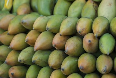 Ekranda açık çiftçi pazar taze renkli tropikal mango. Mango yakın çekim. Meyve arka plan. Sağlıklı beslenme. Sonbahar tarım hasat (seçici odak kavramı)