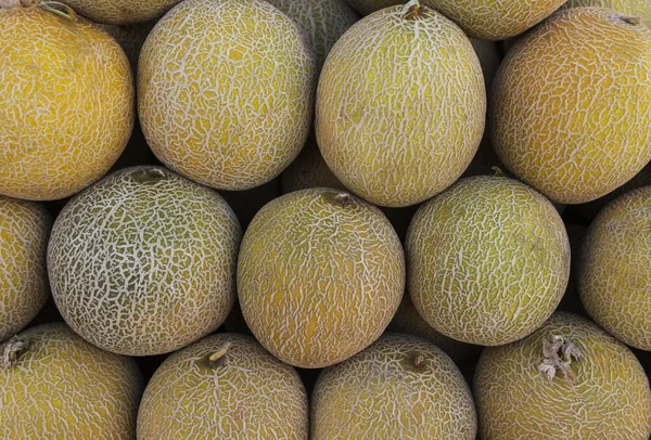 Zblízka Mnoho Melounů Letní Zásobník Trh Zemědělství Farma Plná Ovoce — Stock fotografie
