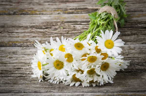 Daisy Mușețel Flori Fundal Din Lemn — Fotografie, imagine de stoc